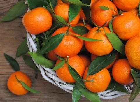 قیمت خرید نارنگی محلی جهرم عمده به صرفه و ارزان